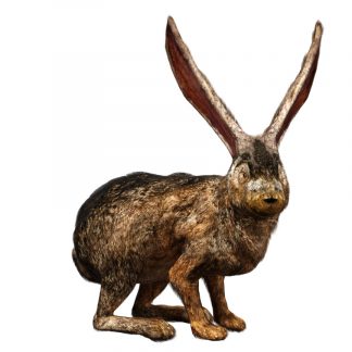 Rabbit (Digital 3D Model)